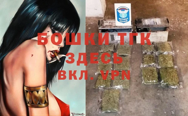 хмурый Рославль