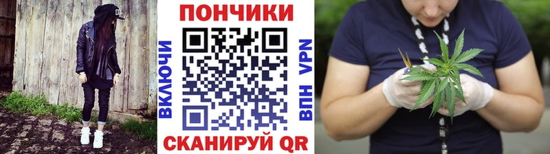Бошки Шишки ГИДРОПОН  Венёв 
